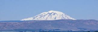 Yakima the Alaskan banner