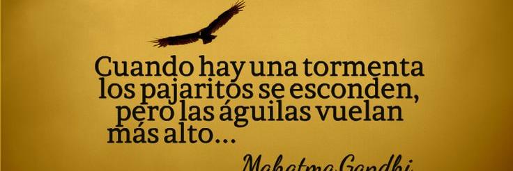 Betina Ybañez banner