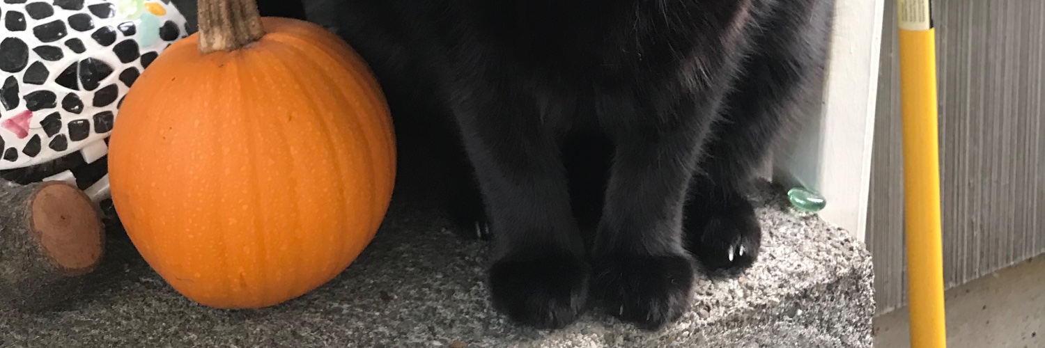 abogmonster's profile banner image
