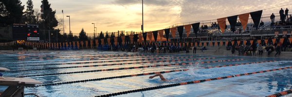 uopswimanddive Profile Banner