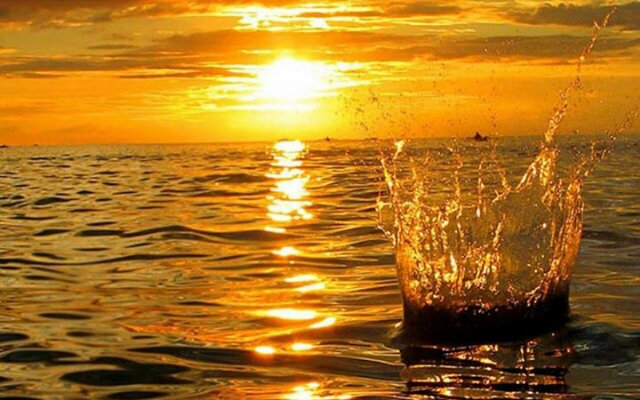 Sentle_Seobi's profile banner image