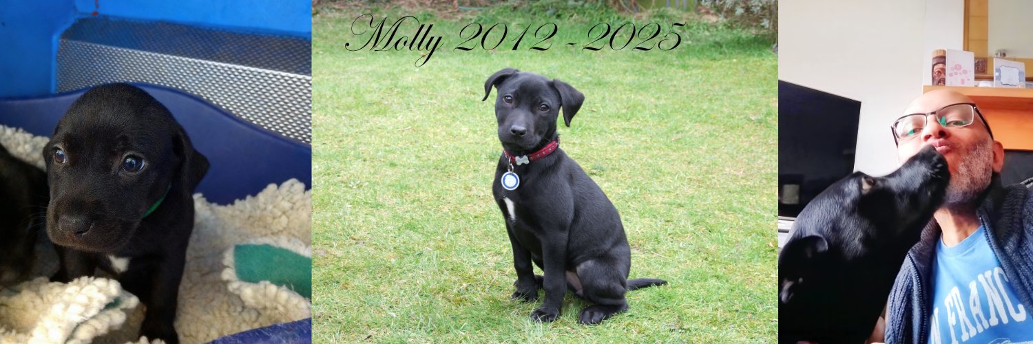 Bob Walker 🇵🇸 🇱🇧🕊️🔯🇯🇲🌤️🖐🏽🍉 banner