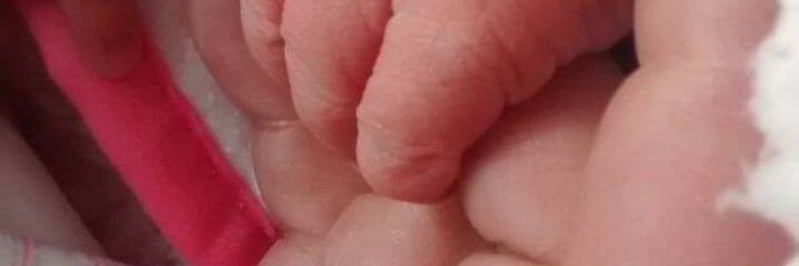 Sandrixky_Valpo's profile banner image