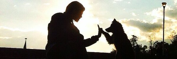 SashenkaMiss Profile Banner