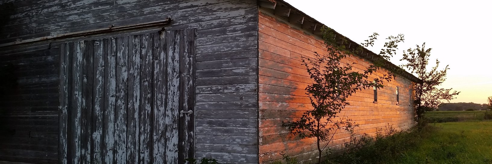 Minda Haas Kuhlmann banner