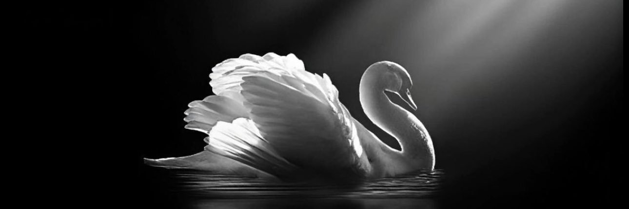 روح banner
