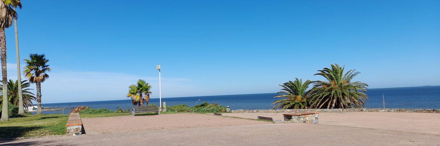 MilenaPerotti's profile banner image