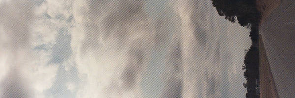 Mr_AustinBeer Profile Banner