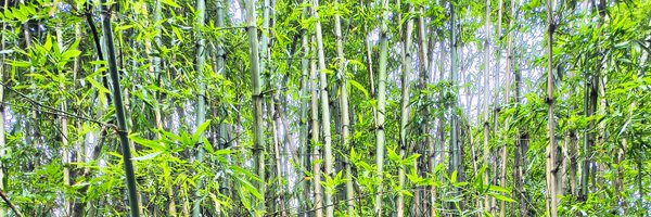 Anshulkpdev Profile Banner