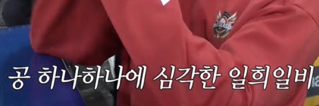 🐾 banner
