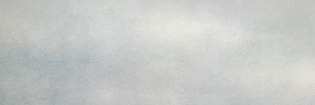🪽 banner