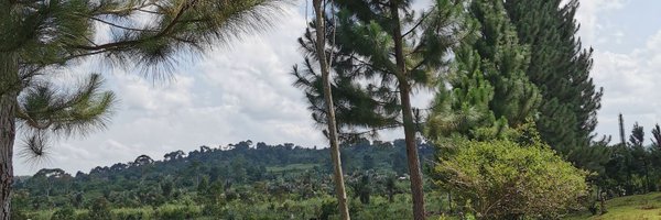 hamza_bana1 Profile Banner