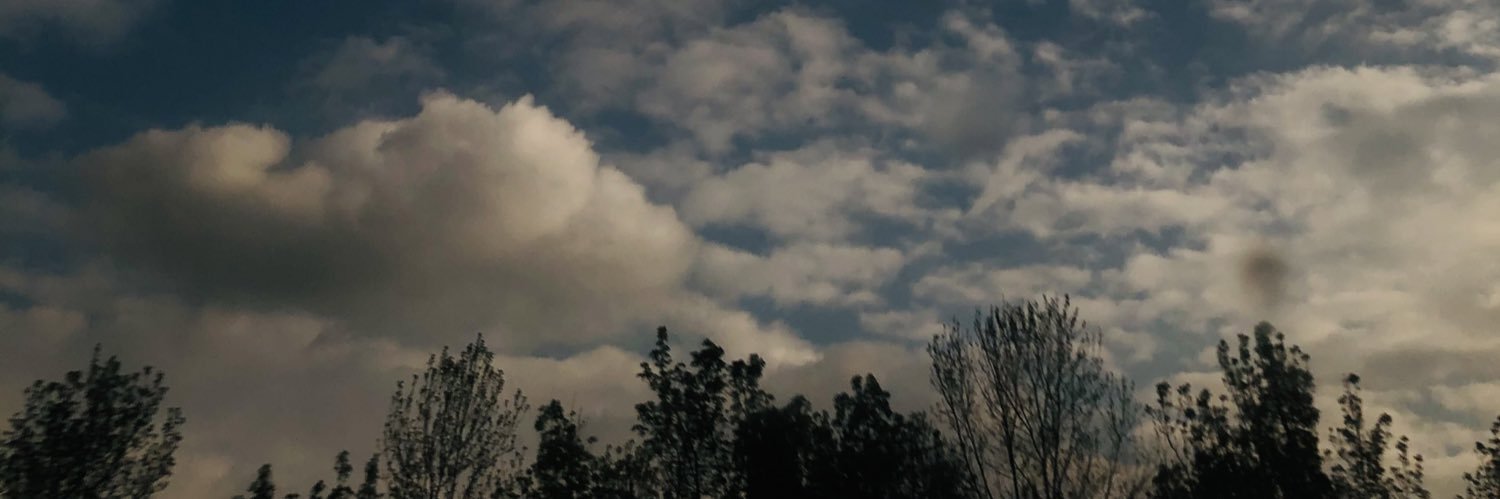 bosraydin's profile banner image