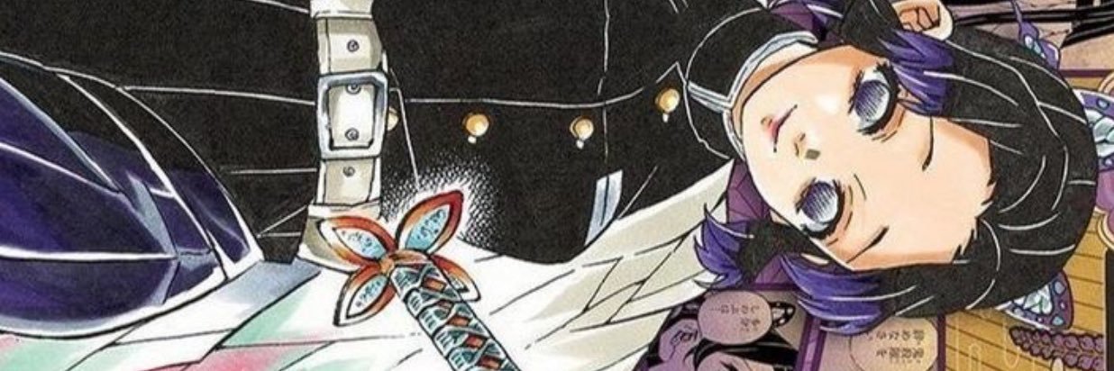 ʚɞ's banner