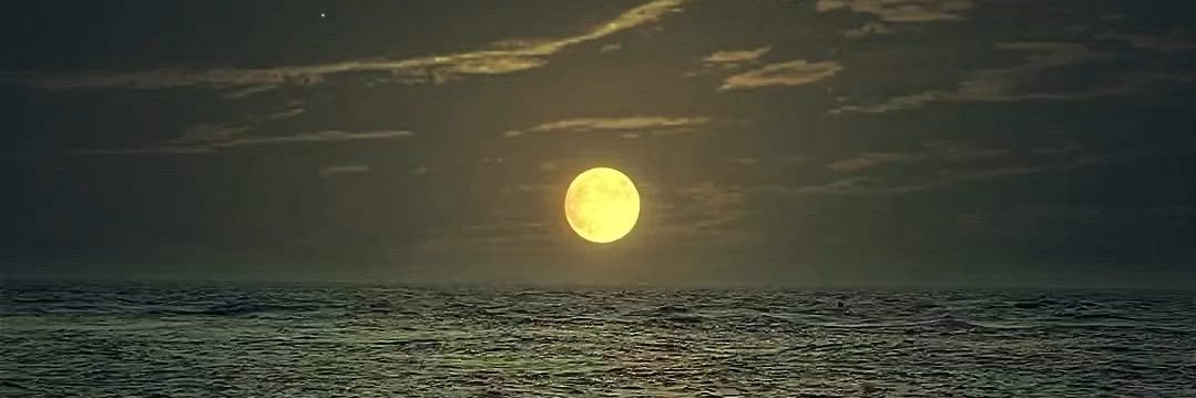 Princess Jill ♡︎ banner