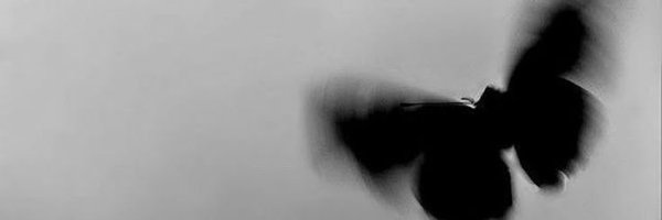 pyxuufn Profile Banner