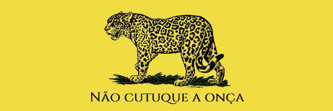 cejunqueirajr's profile banner image