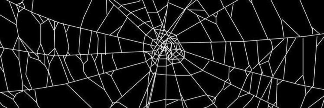 ‍ ‍ ‍ ‍ 𝕰𝖓𝖟𝖔. banner