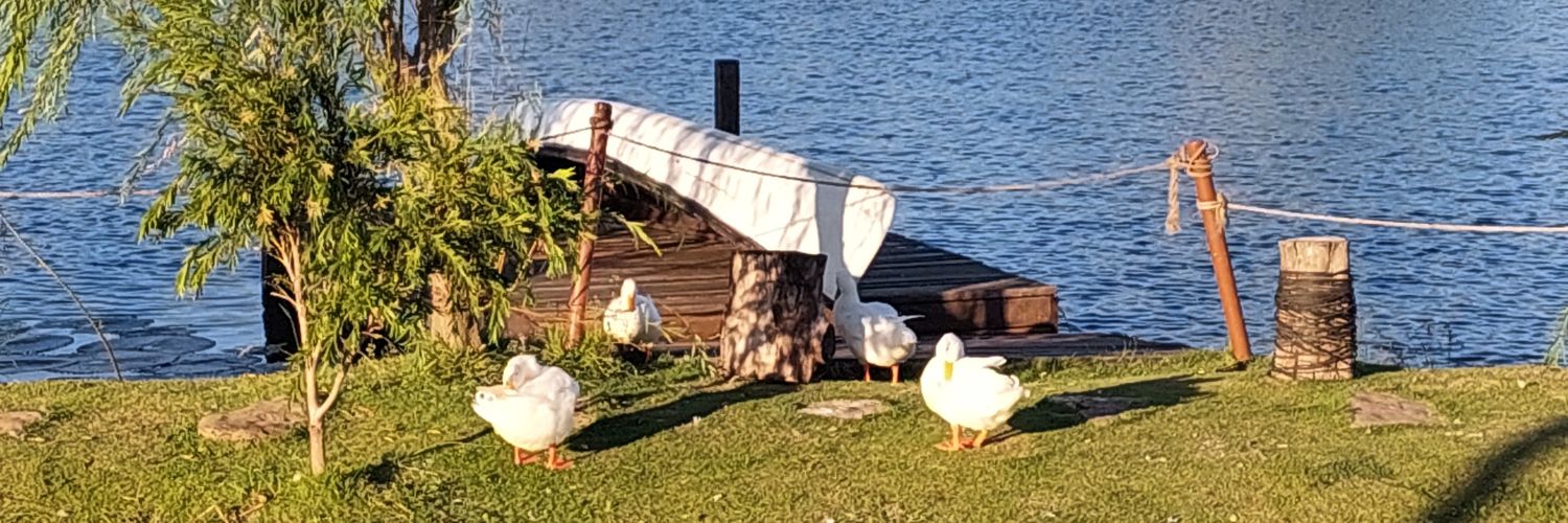 aal keren 🌟 banner