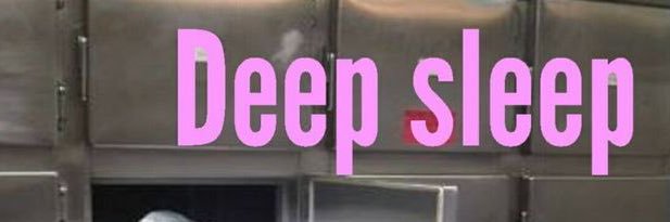 shiely banner