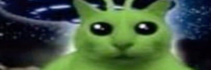 feralicer's profile banner image