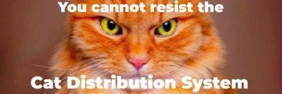 Cat Distribution System (Official Account) banner