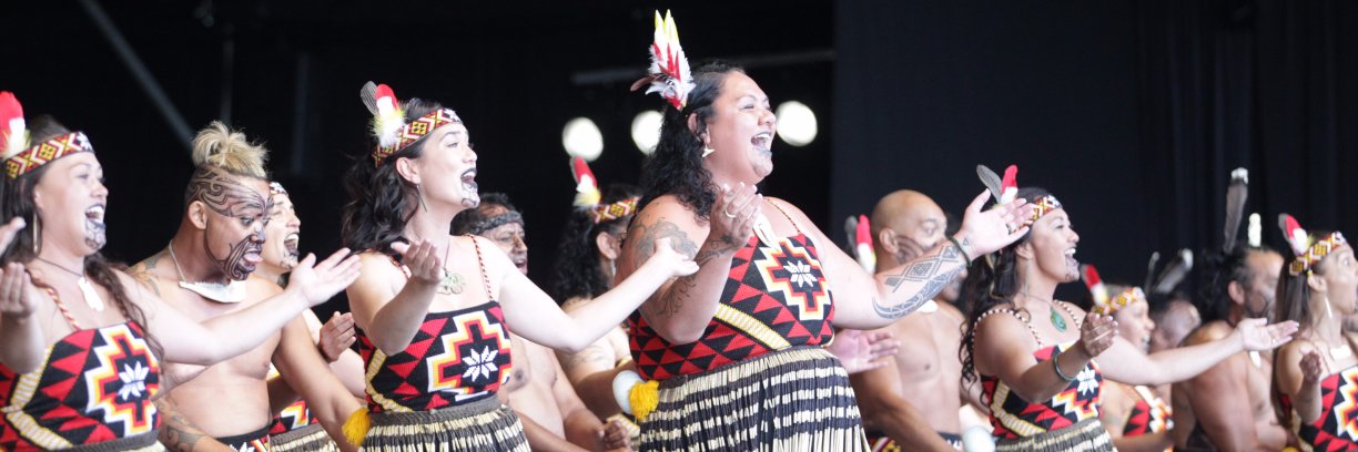 Te Matatini banner