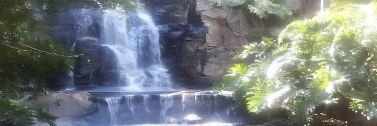 heyynajuh's profile banner image