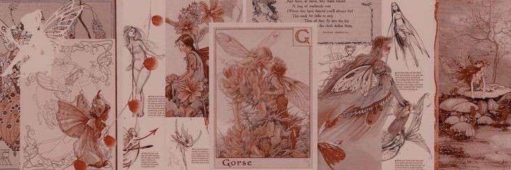 𝑫𝒂𝒎 🧸 banner