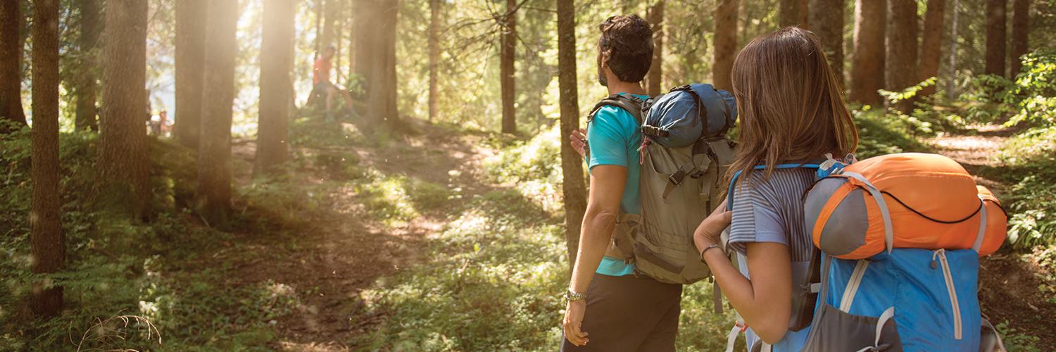 sierraofficial's profile banner image