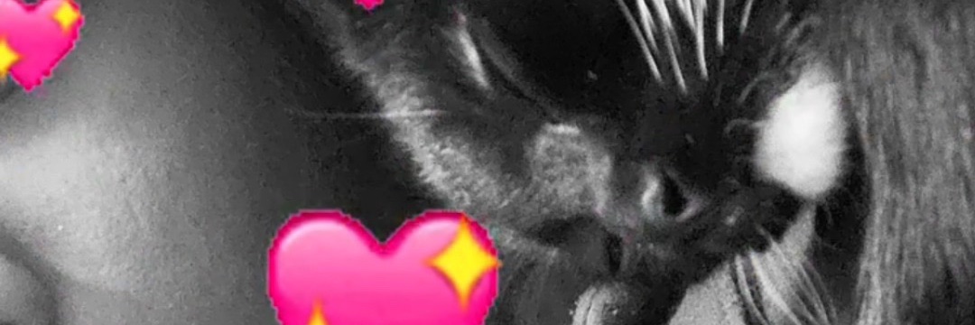 Kurtlenciok's profile banner image