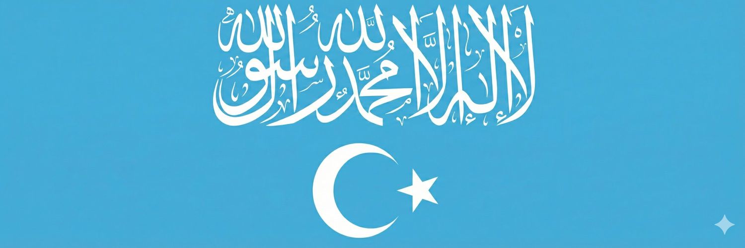 Sinan banner