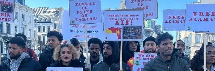 Fsseha T Assefa banner