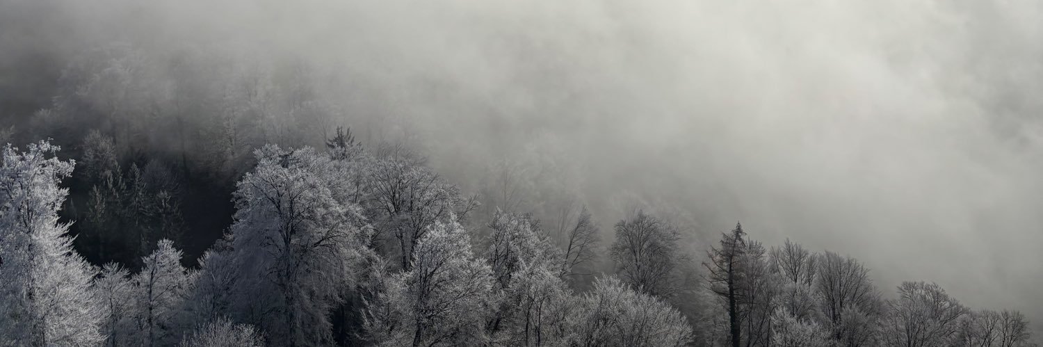 Umbrius Quinctius Cincinnatus banner