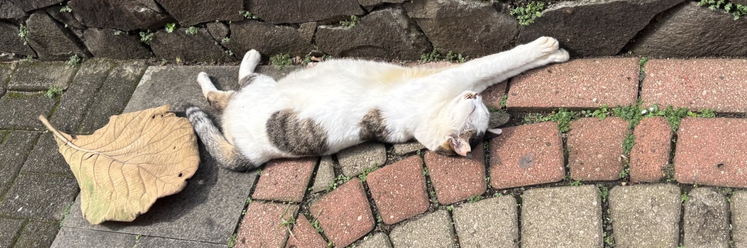 nour 🦎🚶‍♀️‍➡️🎀 banner