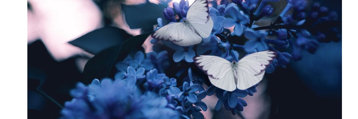 NatNat_89's profile banner image