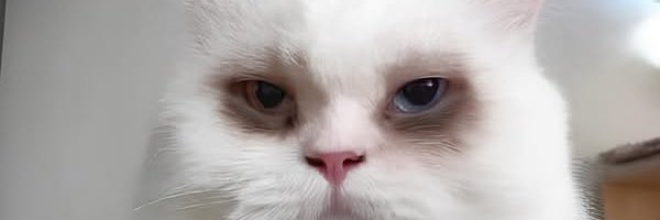 Emcobain's profile banner image