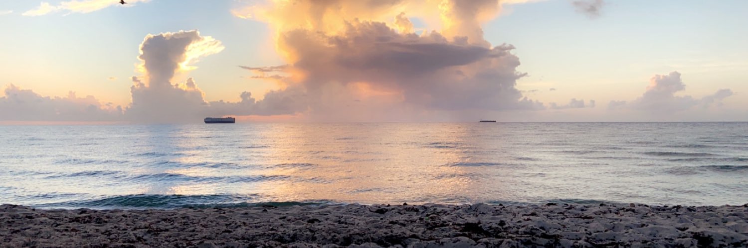 bari_stockel's profile banner image