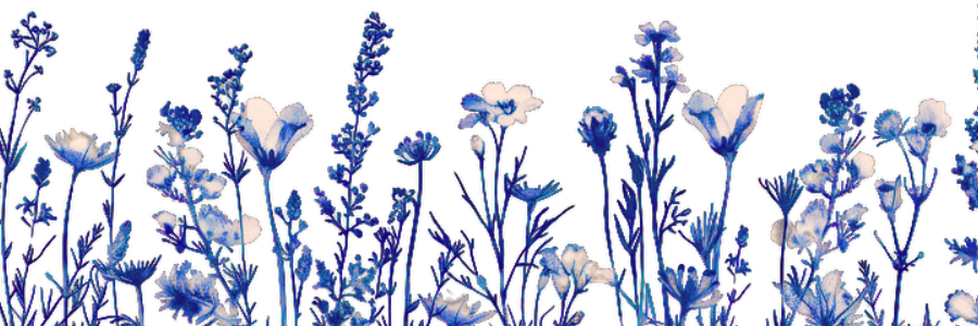 𝑻𝒓𝒂𝒊𝒏𝒆𝒓 𝑫𝒂𝒘𝒏 banner