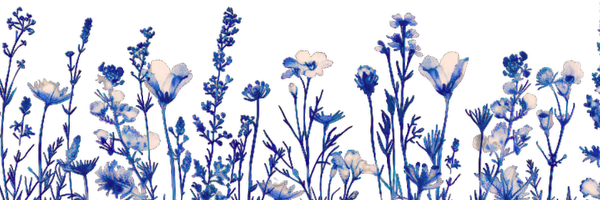 Hisui4gotten Profile Banner