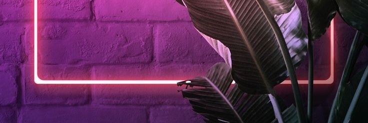 yiyi_pixie_gaga's profile banner image