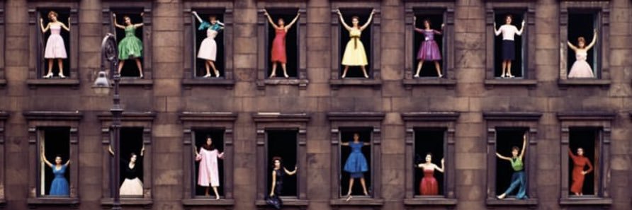 ✨kitten with a whip ✨ banner