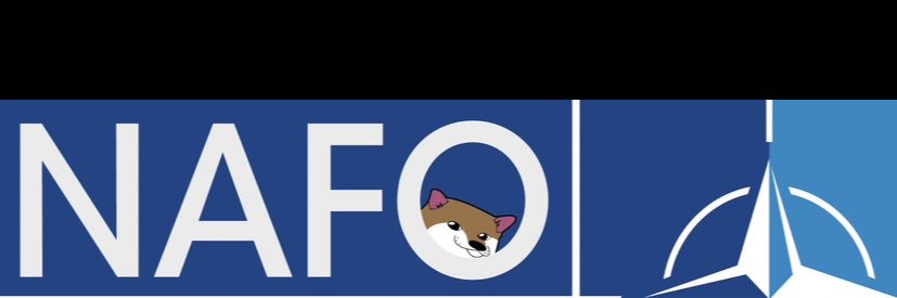 Built For Sin Fella🇺🇸🇺🇦🇹🇼 banner