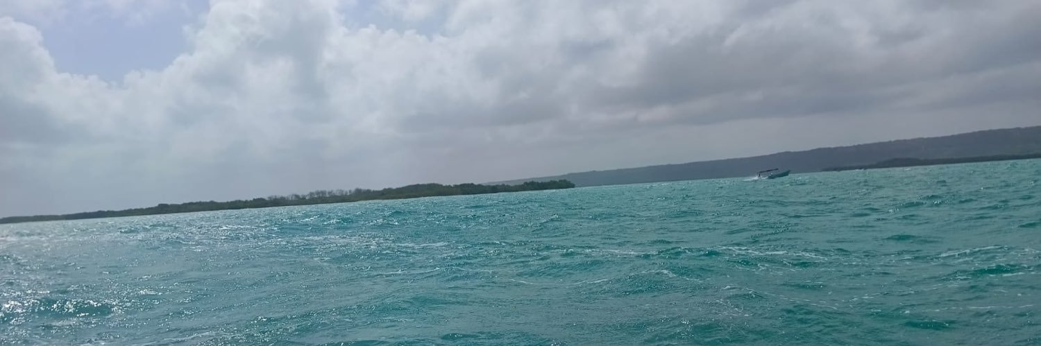 idalisrios's profile banner image