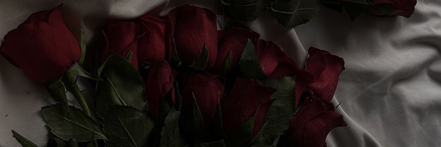 Amara 𖹭₊˚⊹ banner