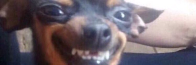 JemimaBoxall's profile banner image