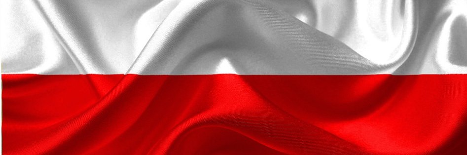 Dagmara Pawełczyk-Woicka's banner