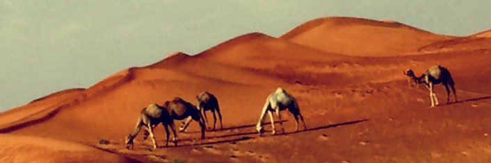 u7a77's profile banner image