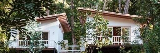 Andrés Felipe Holgin banner