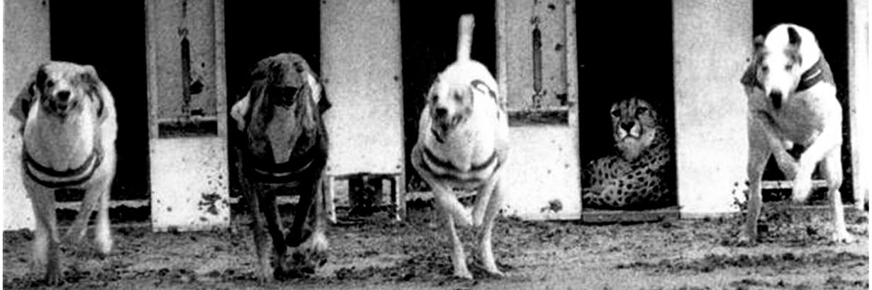 joeblank___'s profile banner image